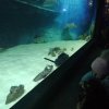IMG_20190206_103446