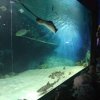 IMG_20190206_103522