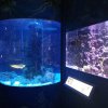 IMG_20190206_103603