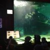 IMG_20190206_103658