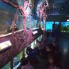 IMG_20190206_105119_HHT