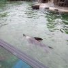 IMG_20190523_105344
