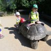 IMG_20190617_095847
