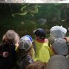 IMG_20190617_102320