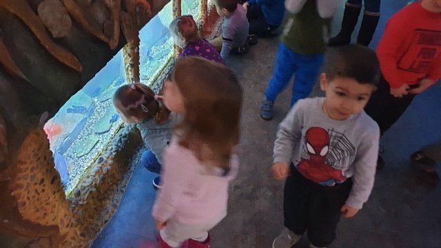 20191121_100344_resized