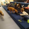 img_20191212_102348