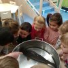 IMG_20191204_101508
