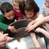 IMG_20191204_101606