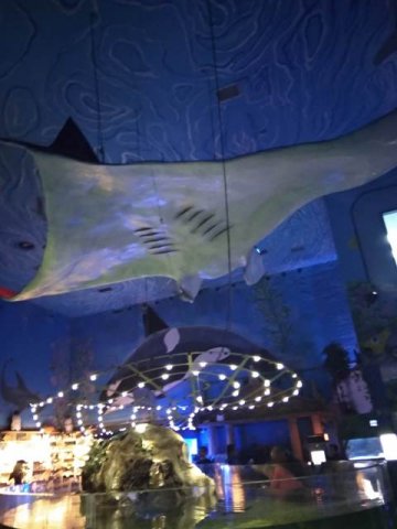 img_20200213_100805_hht