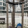 IMG_8732