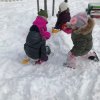 IMG_8786