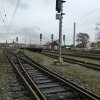 img_9555