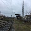 img_9557