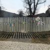IMG_8941