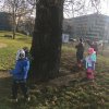 IMG_9250
