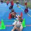 IMG_1195