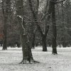 img_8673