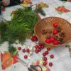 IMG_20211124_093540