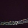 IMG_20220208_102739