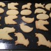 IMG_20220411_101819