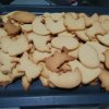 IMG_20220411_102512