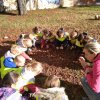 IMG_20211020_103821