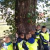 IMG_20211020_105842