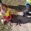 IMG_20211020_110835