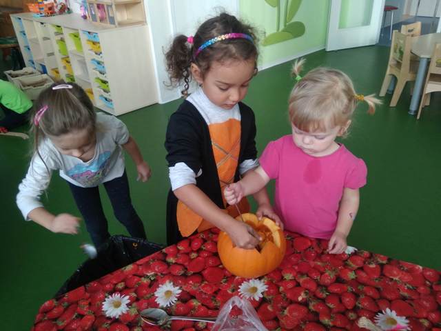 img 20211026 093708