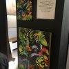 IMG_4458