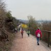 IMG_6631